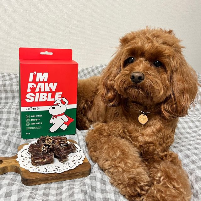 토토&아롱 ʕ·͡ᴥ·ʔﾉ on Instagram: "#협찬 #광고 ⠀ 100% 국내산 고품질 수제간식 임포시블 오리목뼈 아롱이가 먹어봐찌롱✌️ ⠀ ✅ 100% 국내산 천연원료 사용 ✅ 믿을 수 있는 국내 제조 ✅