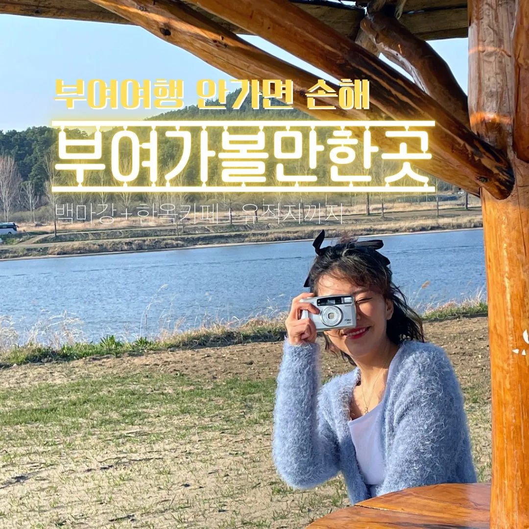 📍자세한 정보는 프로필 블로그에서 확인하세요🍄