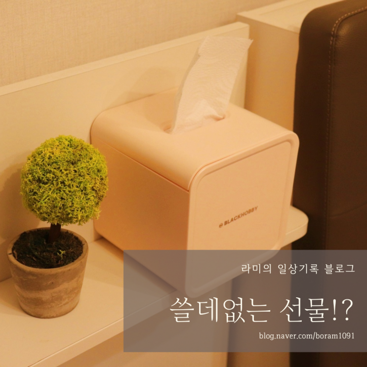 쓸데없는 선물인데 유용한 두루마리 휴지케이스