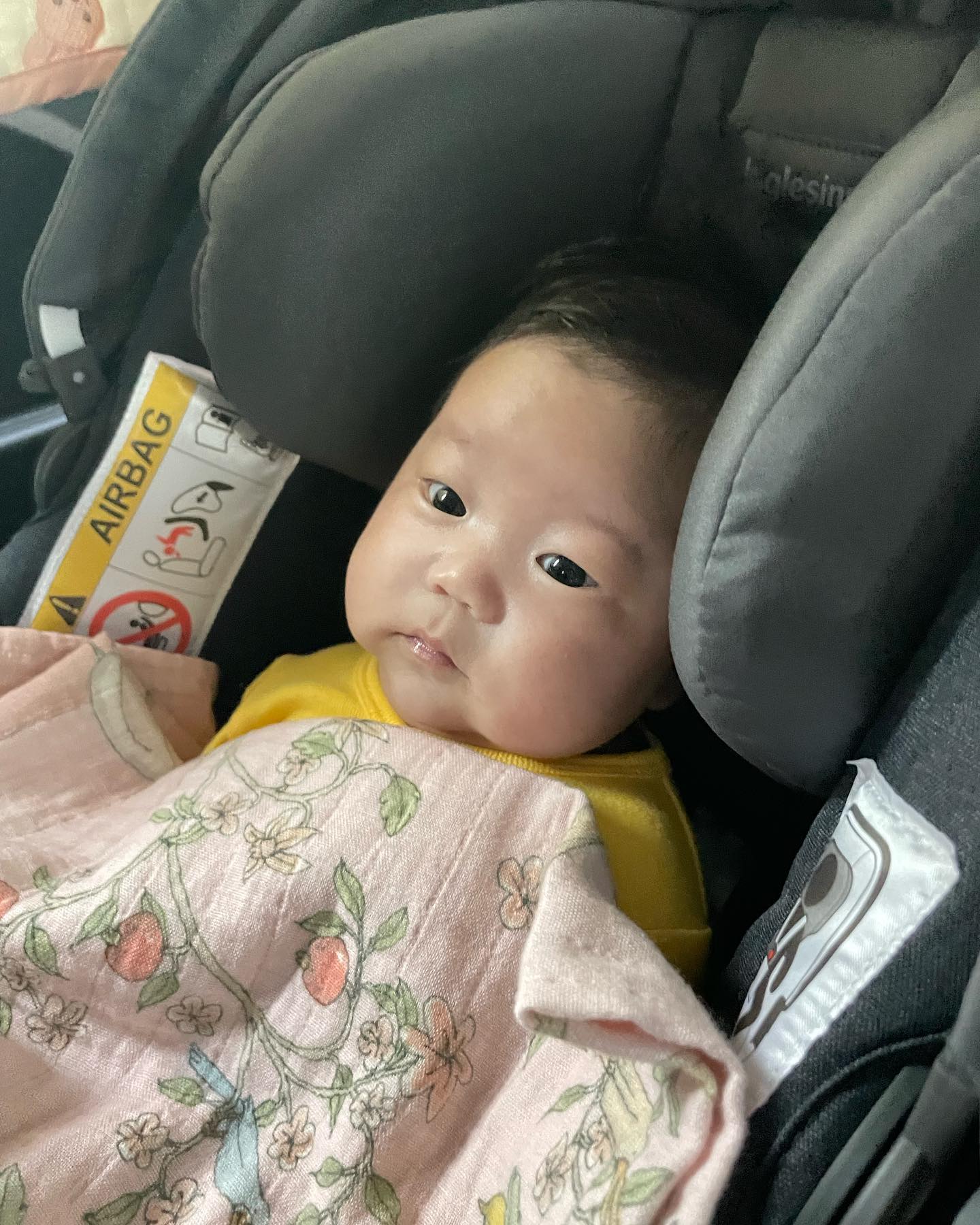 엄마의 욕심으로 50일 촬영을 한번 더 했는데 이번에도 잘해줘서 고마워❤️아니 바구니카시트는 왜 아직도 큰거죠......🫠
#59일아기#범띠맘#딸랑구#사랑해