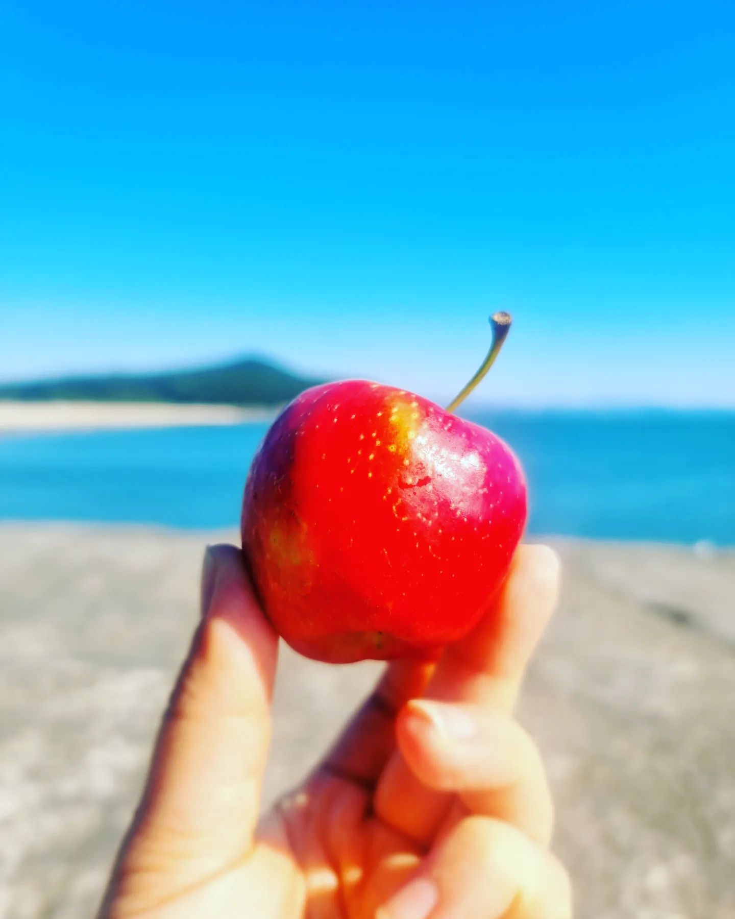 #원산도
#서해바다
#노을맛집 

보령 해저터널지나
원산도 다녀왔어요♡

요즘 서해바다도
많이 깨끗해지고
색이 예쁜 것 같아요

같이 간 회사 선후배님들
열심히 낚시하는데...

저는 혼자 
노래들으며 바다보면서
힐링했습니다^^

덕분에 즐거운시간
보내게 해주셔서
감사합니다!!