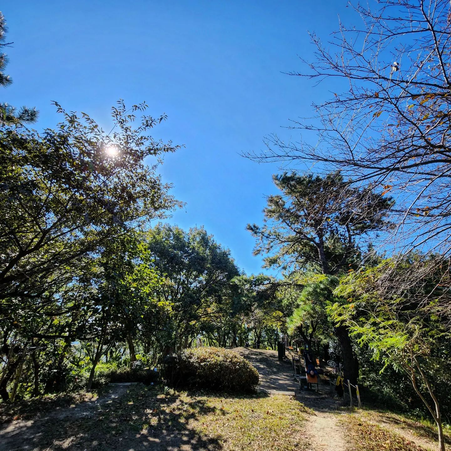 ⛰️산 좋아 #712💠

옷 따시게 입구 산에가니깐 안춥고 넘나 좋으네
어린 편백나무들이 많이커서 향도 좋고
파란하는 이뻐서 잘 보고왔당😍
오랜만에 피드올린 인친님 안부묻고 
무소식이 희소식이었음 하네요^^
된장찌개랑 한그릇 뚝딱😋
내가 좋아하는 귤 🍊 🍠 🎃 🥑간식으로 많이도 먹었네ㅋㅋ 가을은 살찌는계절~~
결울대비 지방을 만들어볼까?🤭
먹거리 아끼지않고 사주신 엄마께 감사합니다🙇‍♀️

오늘운세 : 	그동안 알지 못했던 새로운 모습을 발견하게 된다.

매일 매일 감사하는마음으로 살다보면 좋은일이 생긴데요. 
{10시전 취침-7시전 기상} [규칙적인생활]
#감사일기💠#일상#motd #바른생활루틴이#헬시플레저 #백수니의하루#오하운 #아침형인간#셀카#ootd#아침과일#가을하늘#천고마비#집순이조앙