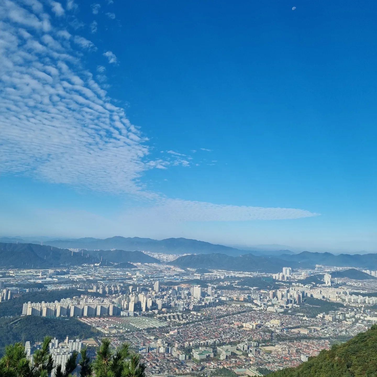 #창원등산 #비음산
저희 집이 산세권이라 주말에
아침일찍 (그래봣자 7시30분ㅎㅎ) 등산다녀왓어요 !
혼자 으쌰으쌰 올라갓는데 ,
정상은 아니지만 풍경이 너무 좋더라구요 ☁️ 
저기는 #창원 완전 분지예요ㅋㅋㅋㅋ
이번주 주말엔 산에 못 갈꺼같네요 .. 😢 
몸이 근질근질한 주말이 되겠어요 ~