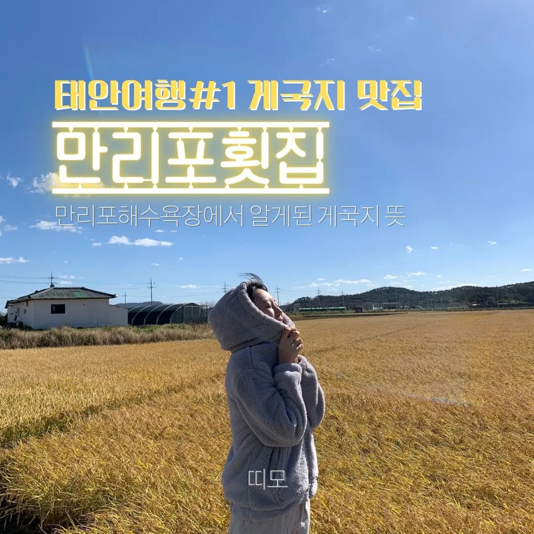 📍자세한 정보는 프로필 블로그에서 확인하세요🍄
#만리포#만리포해수욕장#태안#태안여행#안면도#안면도여행#만리포니아#파도리#파도리해수욕장#가을여행#태안가볼만한곳#게국지#게국지맛집#만리포횟집#만리포맛집#태안맛집#태안게국지