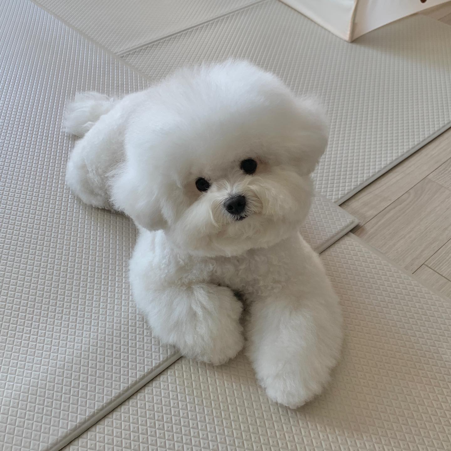 나 두고 나간다고.....😐???