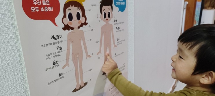 유아포스터 아이 성교육 키먼트 신체 포스터 추천