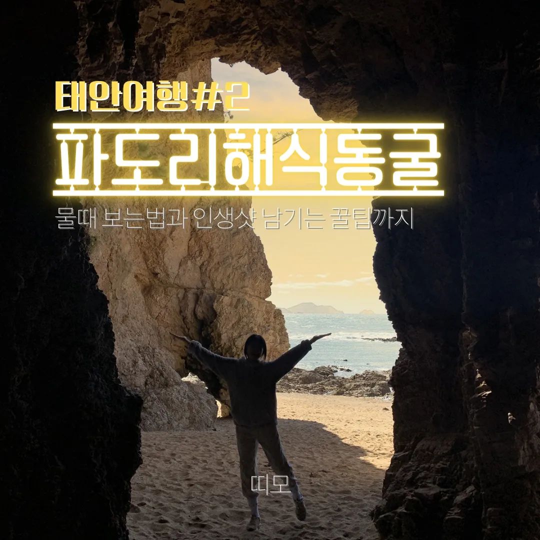 📍자세한 정보는 프로필 블로그에서 확인하세요🍄
#파도리#파도리해수욕장#파도리해식동굴