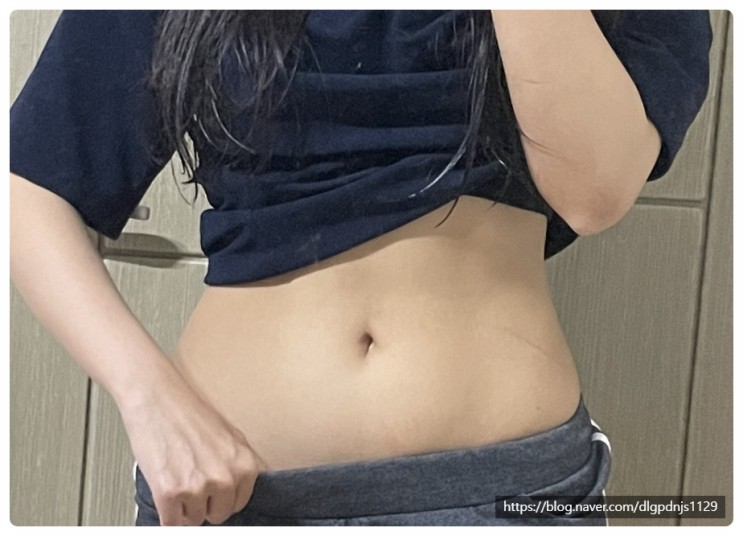 가차환 후기 배꼽통 한혜진 다이어트 나도 해봤다!