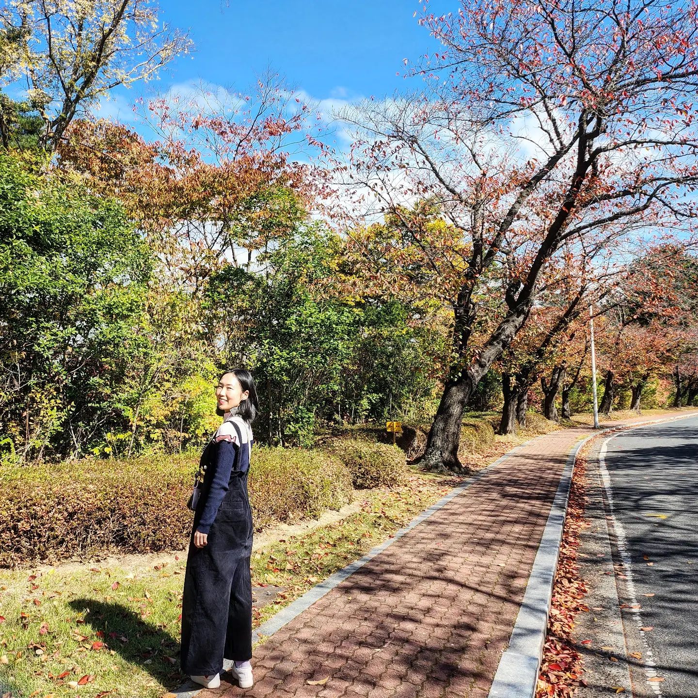 가을🍂 #717💠

가을이왔다
점점 노랑노랑 붉게 물들고 있네
산 안가고 산책하기^^갈비찜 먹고 많이도 걸었네^^
날이 추워서 조금 힘들었지만 운동도하고 자연도보고 좋은하루보냈당
감사합니다🙇‍♀️

오늘운세 : 	스트레스를 받지 말아야 할 때다. 특히 혈압에 주의해야 한다.

매일 매일 감사하는마음으로 살다보면 좋은일이 생긴데요. 
{10시전 취침-7시전 기상} [규칙적인생활]
#감사일기💠#일상#motd #바른생활루틴이#헬시플레저 #백수니의하루#오하운 #아침형인간#셀카#ootd#아침과일#가을#갈비찜#가을산책