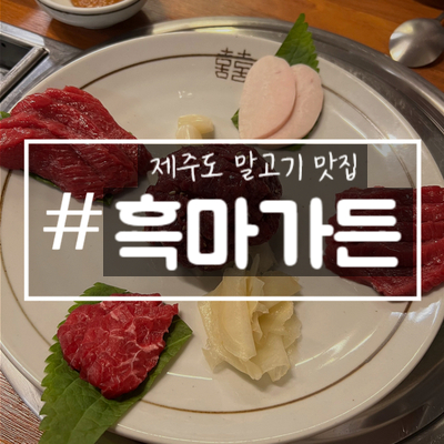 [제주도 맛집] 말고기 맛집 흑마가든 +내돈내먹