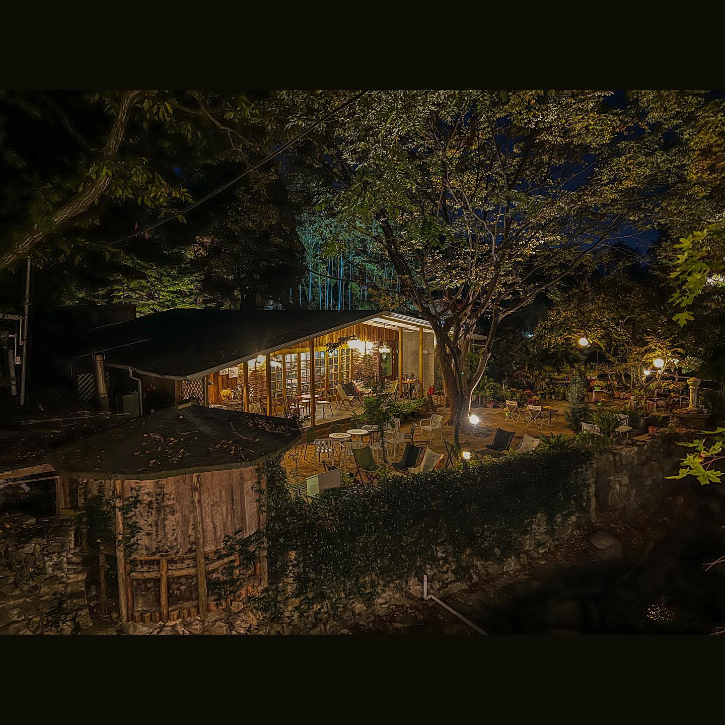 ✨비밀의정원에 오신 걸 환영합니다🌙

단풍구경하고 
해가 떨어진 숲속에서
나를 이끌던 불빛🕯️

무서워하지말아요🎃
예쁜 꽃들이 가득한 카페랍니다🌿

📍팔공산 시크릿가든
🌲작은 식물원과 넓은 잔디밭을 보유한 카페(뛰어놀기 좋아요🙌)
🐶 애견동반 ⭕️
🍵 커피종류보다 차종류가 많아요

#대구카페 #팔공산카페 #시크릿가든
#식물원카페 #대구근교카페