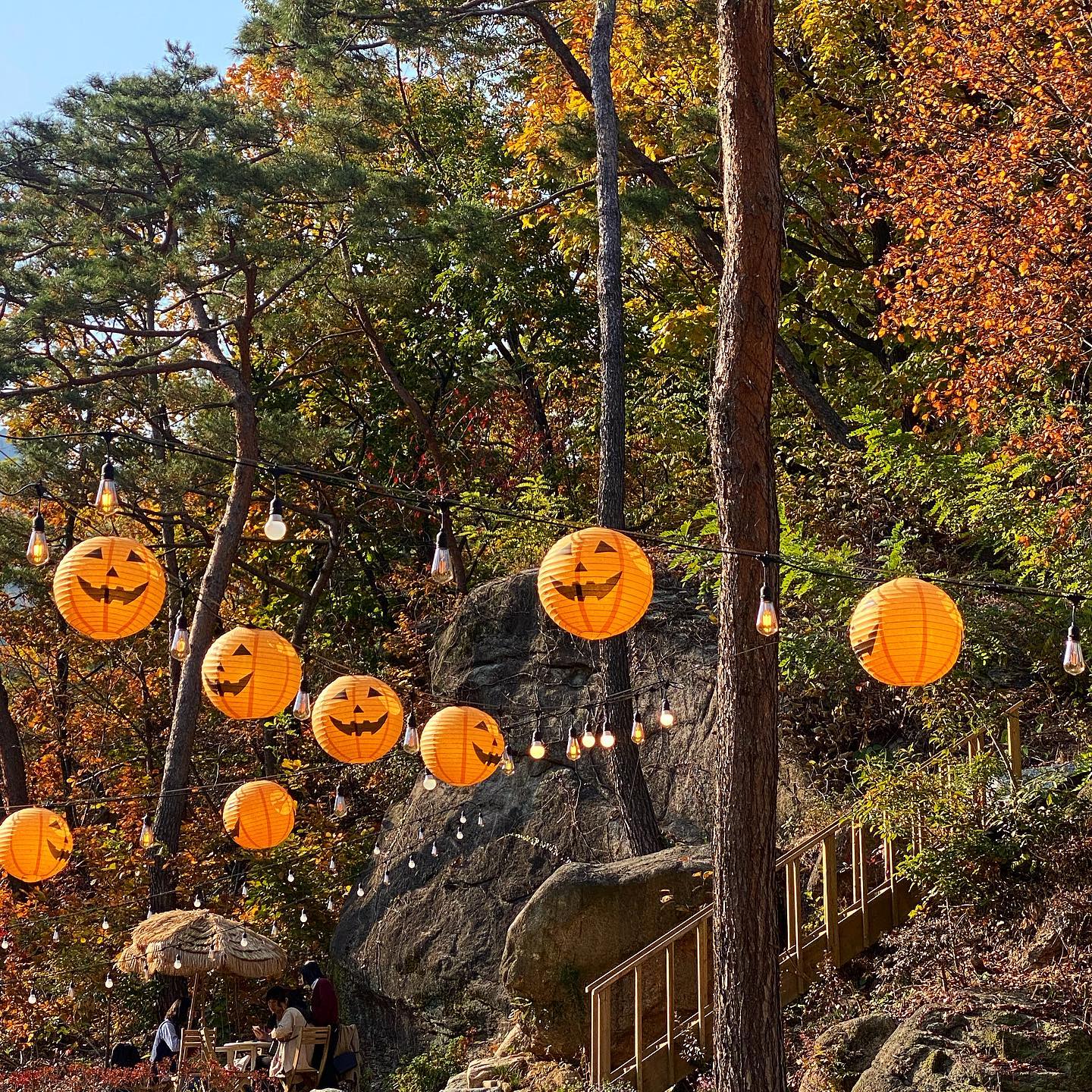 할로윈이다 👻🎃