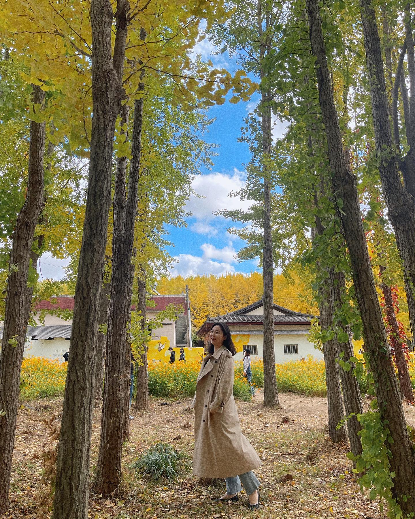 노랑노랑한 마을🍁🍂💛
가을 한껏 느끼기
#도리마을