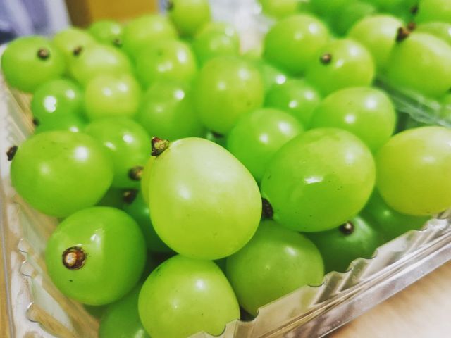 Lim Juyoung on Instagram: "당도 짱 샤인머스캣! 넘 넘 맛있어♡ *주문링크: https://rhythmk.com/podo2022 #샤인머스캣 #상주문장대샤인머스캣 #포도 #상주 #상주샤인머스캣 #공구 #문장대 #문장대샤인머스