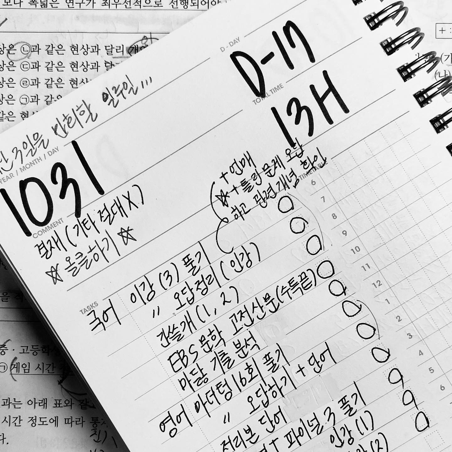 따봉냥이