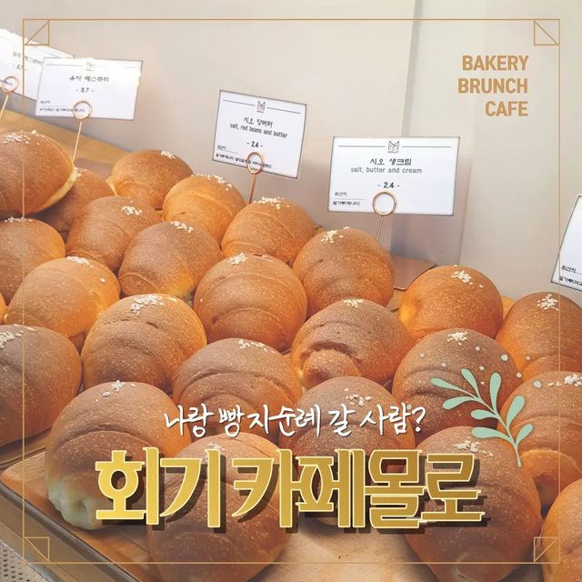 배지윤 on Instagram: "#광고 📍카페몰로[회기]

예쁘고 넓은데 빵까지 맛있는 곳🥐

들어가기 전에는 이렇게 넓을줄 몰랐는데!
여자분들이 좋아하실만한 밝은 화이트톤 인테리어에 센스있게 담요도 있고
빵도 종류가 아주 많았어요.

소금빵 깜빠뉴 식빵 머핀 패스츄리 등등
하나같이 빵이 참 맛있어 보여서 고르기 힘들었던,,,

딸기라떼/자몽에이드 시켜서 빵이랑 같이 먹었는데 다 맛있었음
이 날 점심으로 초밥먹고 마라탕까지 먹었는데도 빵이 맛있어서 손이 계속 가더라

여기 음료가격도 괜찮음! 자몽에이드 5000원이에요.
다른 카페는 요즘 8천원 하는곳도 많던데 이 정도면 합리적이쥬

원래 카페몰로는 브런치로 유명해서인지 주변에 파스타 드시는 손님들도 있었어요!

다음에는 파스타도 먹어봐야겠다는 생각을 해봅니당

소금빵 아직도 못먹어본 분들 여기서 꼭 드세요🧡

추천 포인트)
-1~2인용 메인 좌석 있음
-담요있음
-빵 종류가 다양한데 맛있기까지 함
-콘센트 엄청 많음! 카공도 좋을듯

위치)서울 동대문구 회기로 163 1층 카페몰로
 #경희대브런치#경희대베이커리#경희대데이트#회기동브런치#회기동베이커리#회기동데이트#카페몰로#경희대파스타#회기동파스타#샹그리아#하이볼#콜키지프리#경희대하이볼#경희대샹그리아#회기샹그리아#회기맛집#경희대맛집#회기베이커리"