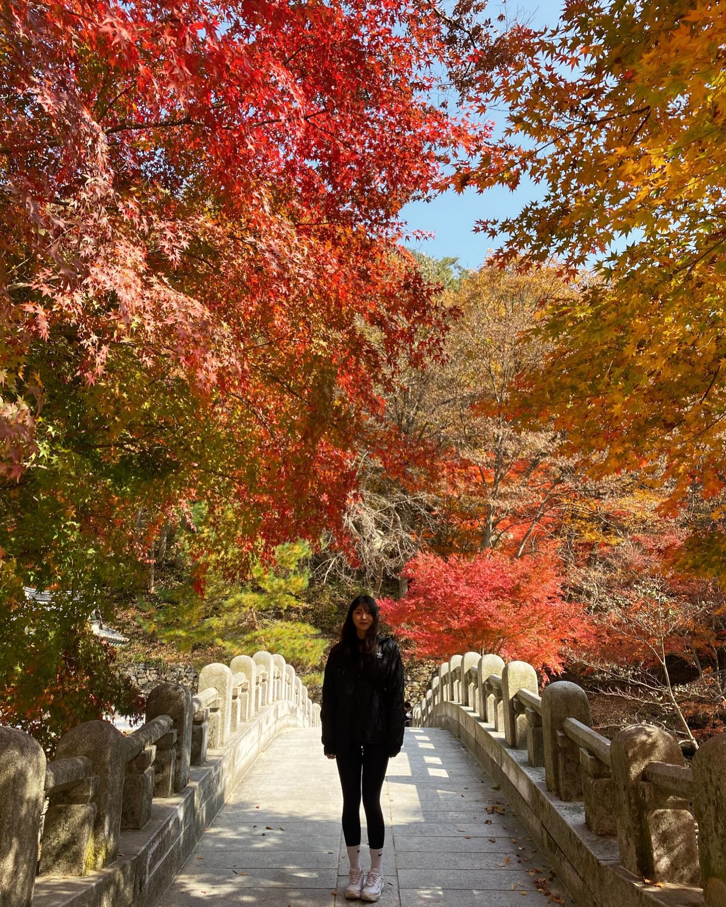 🍁