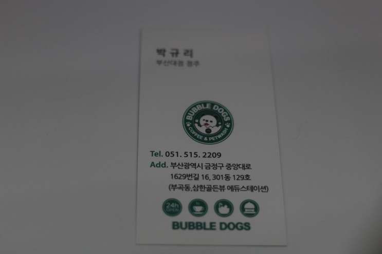 부산금정구 애견미용,목욕 버블독스 부산대점