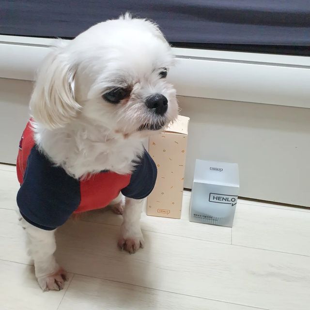 이구름 on Instagram: "#제품제공 #헨로포우 #헨로포우x구름 #비건샴푸 #버블브러쉬

안녕하세요! 꾸르미에오!
오늘은 '헨로포우'의 비건 샴푸와 버블 브러쉬에 대해 소개하려구 해요!

✅ 비건 샴푸의 장점에 대해 알려드릴게요!
1) 동물 실험, 동물성 원료가 없는 비건 인증 강아지 샴푸
2) 동물용 의약외품 인중 완료!
3) 자연 유래 성분으로 보습, 윤기, 영양관리

✅ 직접 사용해본 결과 느낀 점에 대해 알려드릴게요!
1) 부드럽고 풍성한 거품으로 자극 없는 목욕이 가능해요!
2) 린스가 필요 없는 샴푸&컨디셔너 올인원 제품이라 간편해요!
3) 달콤하면서 매혹적인 오스만투스향이에요! (투명색)
4) 털이 엄청 부드러워져서 너무 좋아요!!!

✅ 버블브러쉬 사용법
1. 핸들을 분리한다.
2. 샴푸를 담는다.
3. 필요한 부분에 바로 짜서 브러쉬 한다.

너무 간편하지 않나요?!!!!
저는 브러쉬 처음 써보는데 진짜 너무 편한 것 같아요 ㅠㅠㅠㅠ
항상 새로 짜고 몸에 하고 그랬는데
핸들 부분 누르기만 하면 샴푸가 나오니까 이렇게 편할 수가>_< 그리구 부드러운 350여개의 실리콘 모가 있어서 더 꼼꼼하게 세정이 가능한 것 같아용♡

저희 구름이가 지금 주둥이가 빨갛고 고민이 많은데 
헨로포우 비건샴푸와 함께 깨끗한 털 만들어 보려구요!!

✅ 비건샴푸와 버블브러쉬 정보가 궁금하신 분들은 아래 링크 참고해주세요!
⬇️⬇️⬇️⬇️⬇️⬇️⬇️⬇️⬇️
https://m.henlopaw.com/?NaPm=ct%3Dl9yagqhc%7Cci%3D0Aa0000E%2Dk5xYst1Tvnd%7Ctr%3Dbrnd%7Chk%3Dfb36cd8c8d90d6841b2b0d4b5a11d3dc3f41ff23
#헨로포우 #강아지 #강아지샴푸 #비건샴푸 #애견샴푸 #버블브러쉬 #브러쉬 #애견브러쉬 #애견목욕 #반려견 #말티즈 #말티즈그램 #개스타그램"
