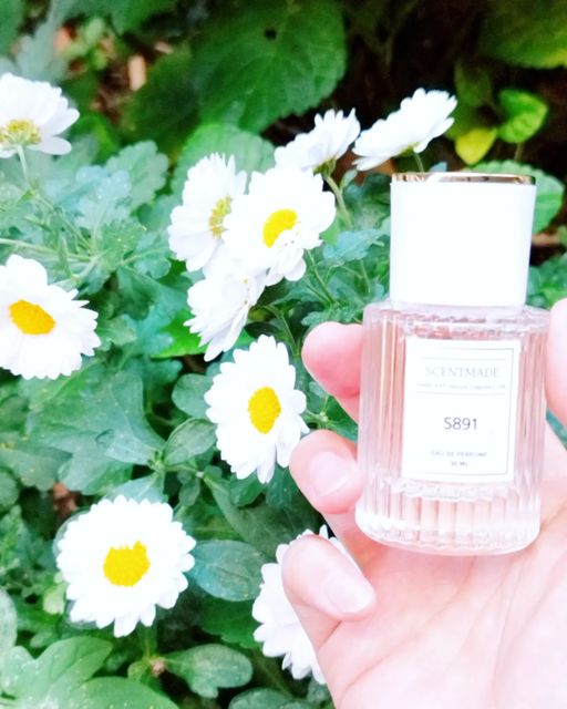 ✿.｡포미 ｡.✿. 코덕 /뷰티 /일상 on Instagram: "#제품제공 ⠀ 농염한 살구꽃향 🌼🌼 ⠀ 킁킁이 아니라 후~~읍 하고 깊이 들이마시게 되는 향이예요. ⠀ #쥬르데르메스압솔뤼 이름에서 느껴지