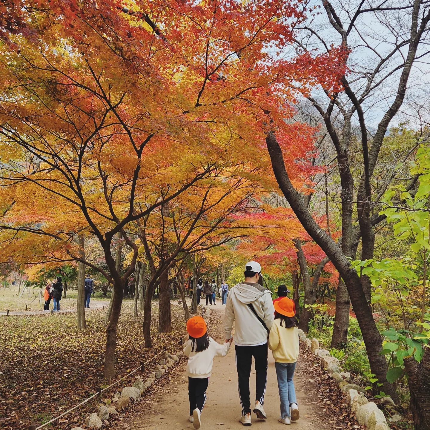 #단풍구경 #아빠와딸들 #내장산단풍