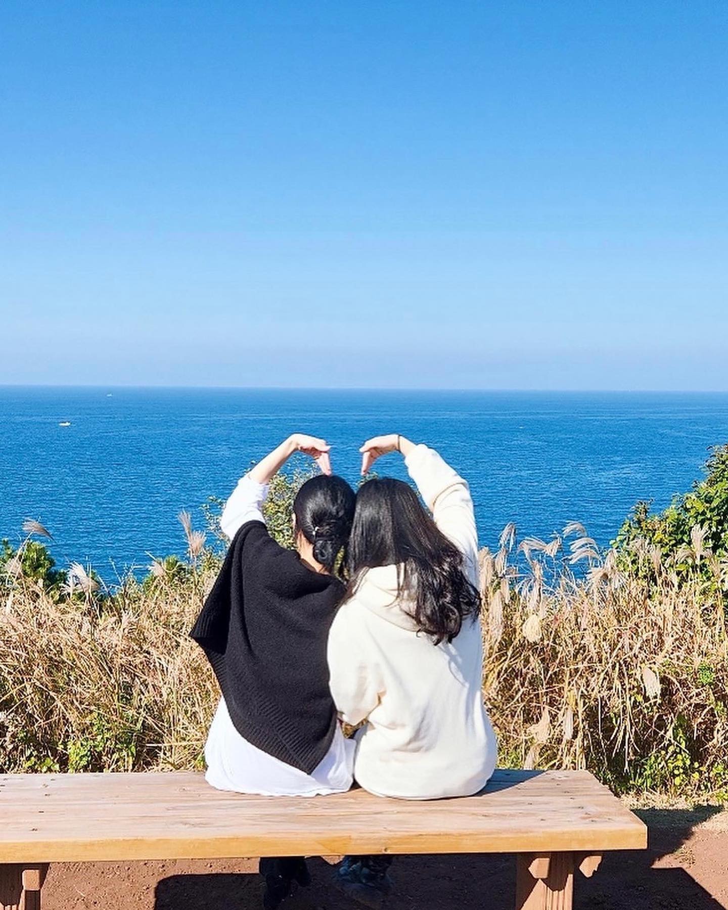 제주도 여행🍊
