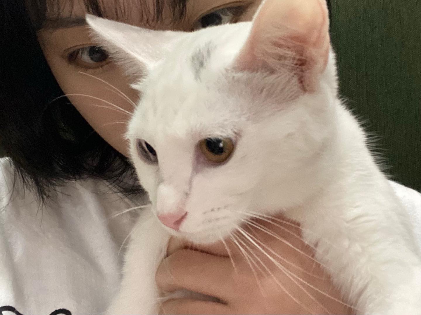 미먀오