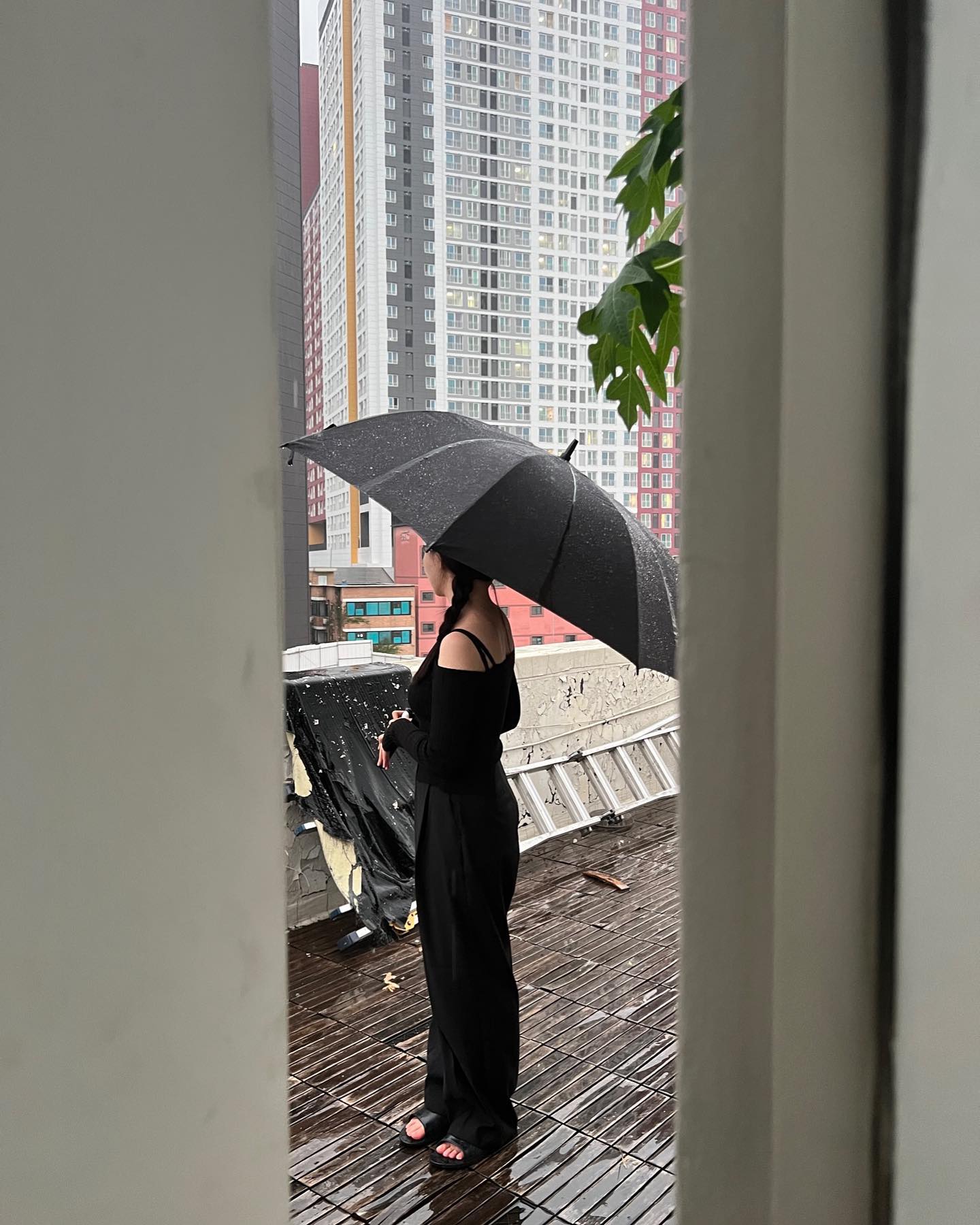 내일 벌써 월요일이라니☂️ 나 울래