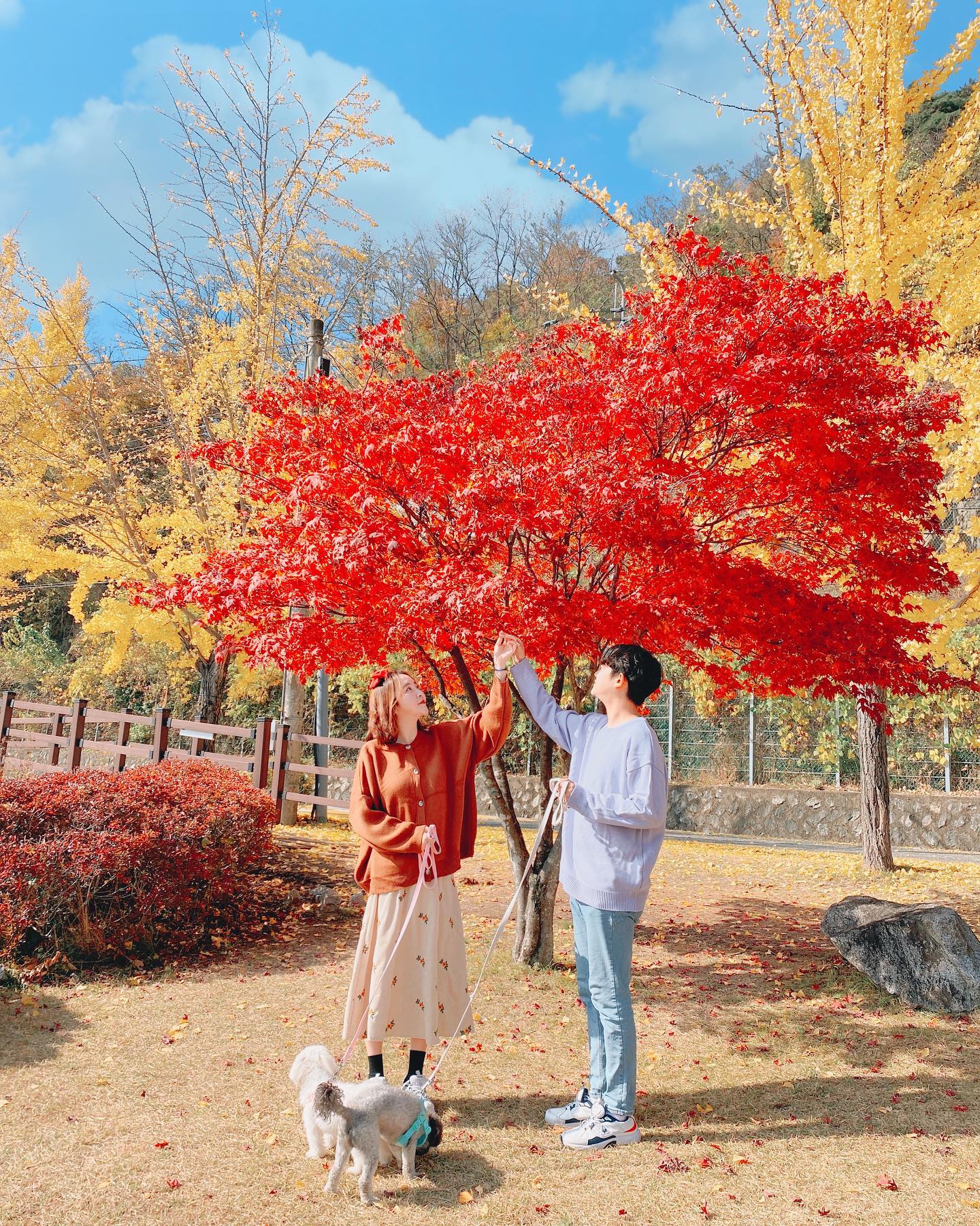 내생일 맞이 급안동여행💕
별기대없이 갔던 안동은 힐링여행 최고였고
다음에 꼭 다시 가야 할 여행지❣️