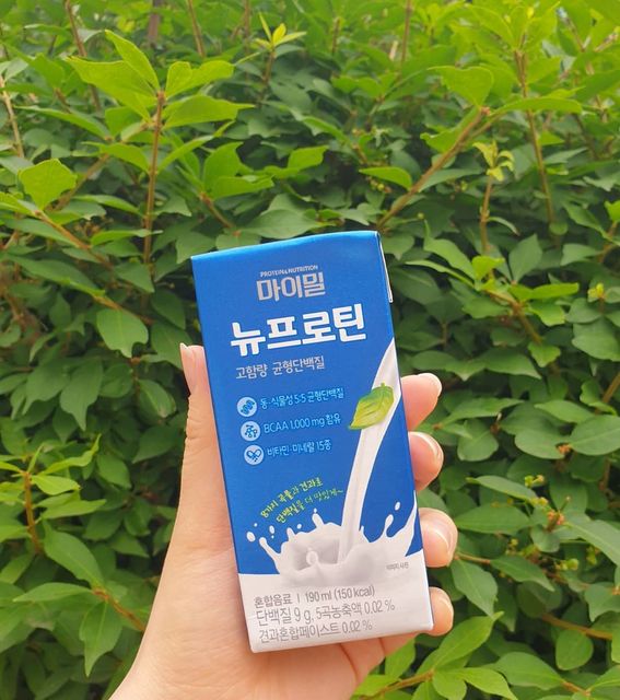 은지 on Instagram: "마이밀 뉴프로틴🥛 . 동물성 단백질과 식물성 단백질이 5:5로 구성된 "균형단백질"💪 . 아침 식사 대용으로도 너무 간편해서 직장인들에게 강추 단백질 음료! . #대상웰라이