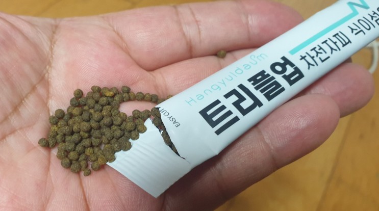 트리플업 차전자피 식이섬유 간편하게 섭취해요