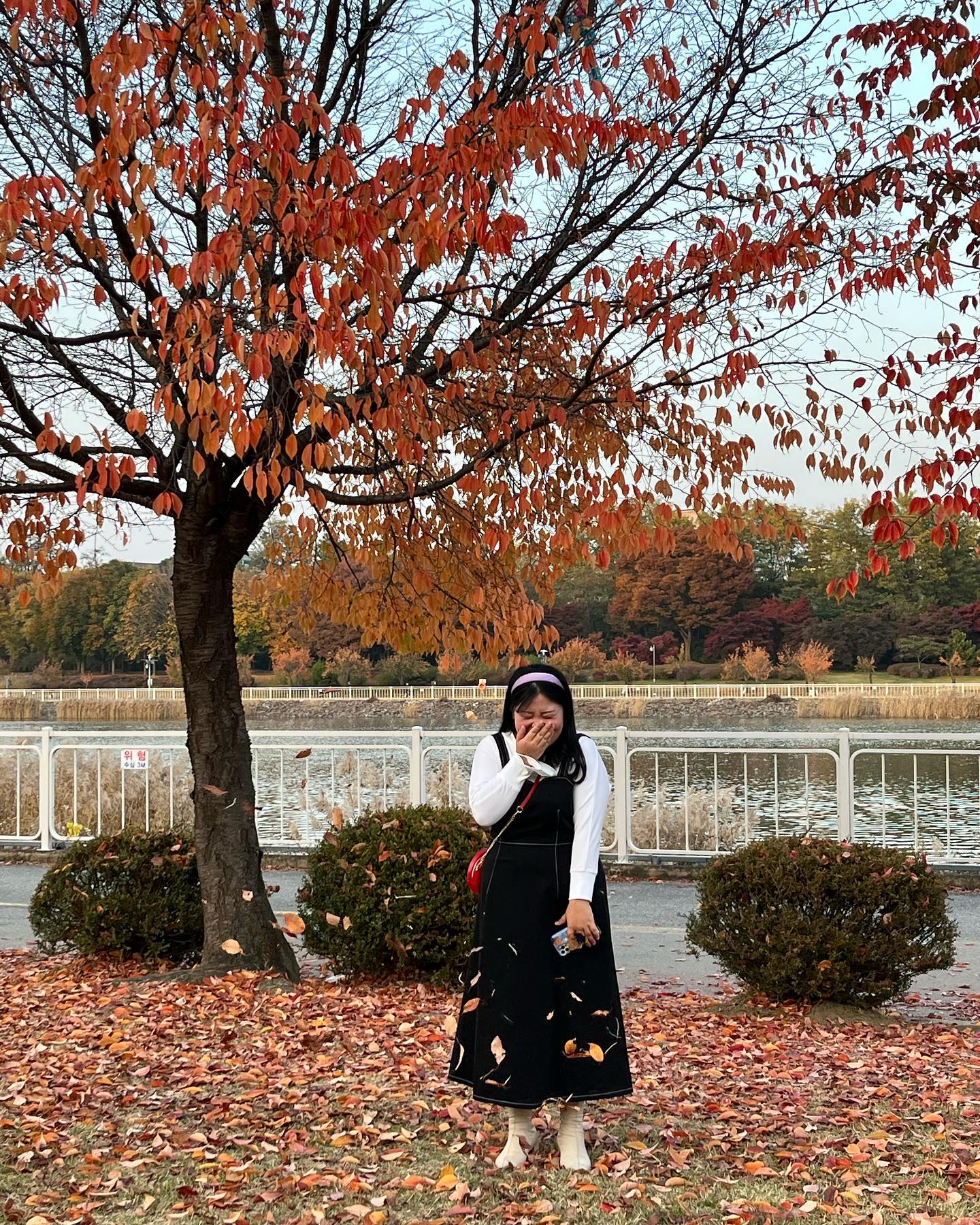 사진 찍는다니까 아주머니 두 분이 냅다 낙엽 뿌려주심 ❤️‍🔥