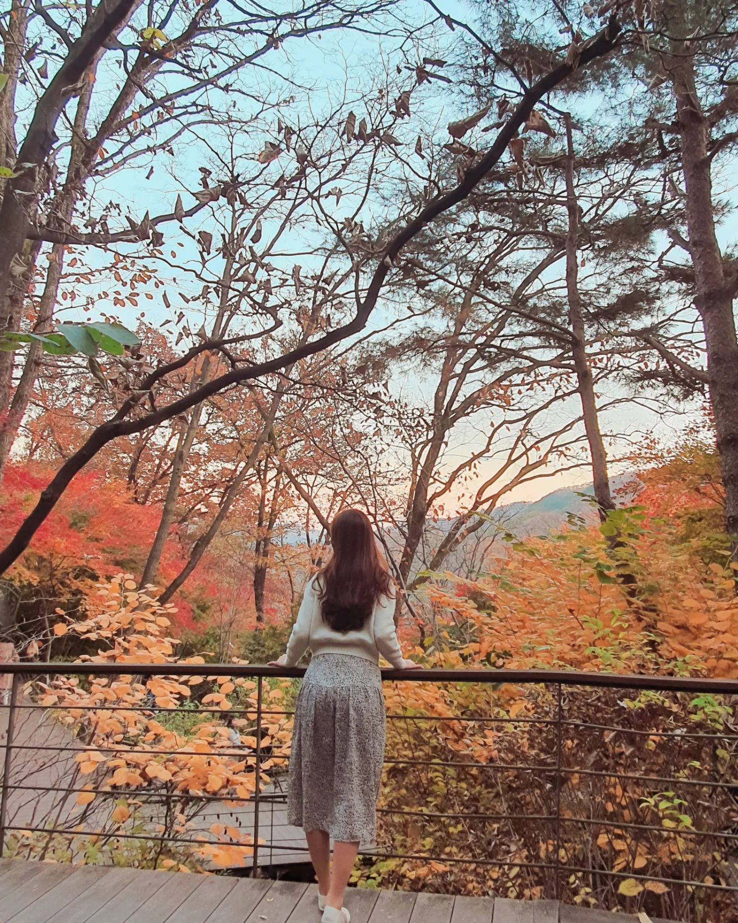 ⠀
결국 계절이 바뀌고 말았네요
겨울 오기전에
가을을 제대로 즐겨본적이 없는것같아
가족들끼리 화담숲에 다녀왔어요.
⠀
4시 타임으로 가니 조금 걷다보면
조명도 켜지고 너무 예쁘더라구요🍂🍁
여긴 사계절 모두 나들이 가기
좋은것같아요❤️
⠀
참, 벌써 트리 준비하시는 분들 많던데
트리를 사야되나 말아야되나
너무 고민이에요😆