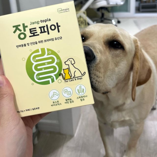 나눈야 고장난 수 리 ʕ”̮ॽुෆ⃛ on Instagram: "#협찬 #제품제공 #후기 수리에게 또 다른 선물이 도착했어용 🎁 #장토피아유산균 이라는 #페슬러 제품 인데요 💚 묽은 응가와 설사를 가끔