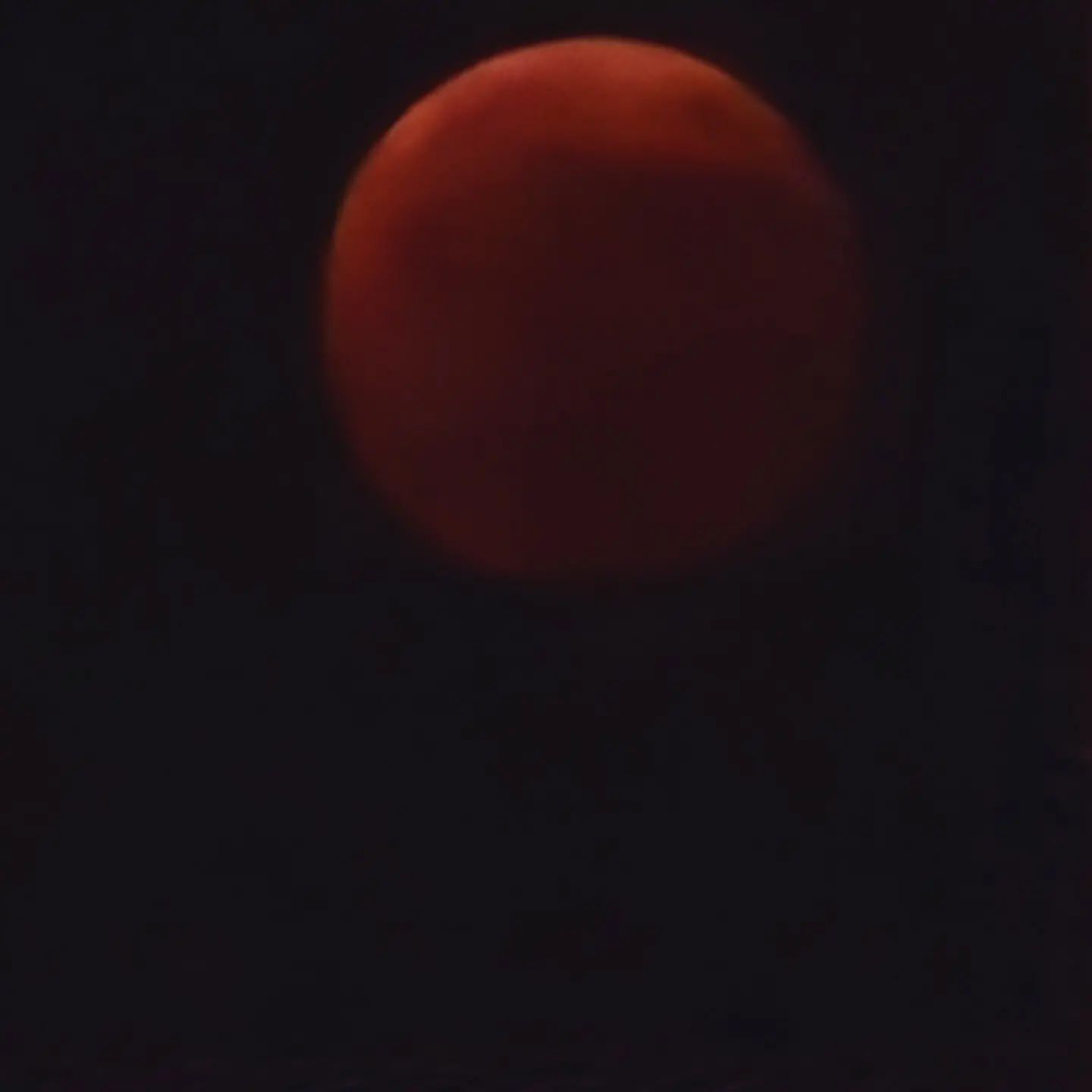 블러드문🌝