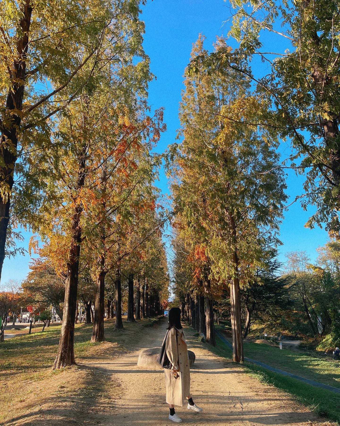단풍놀이 끝🍂🍁
#안심체육공원