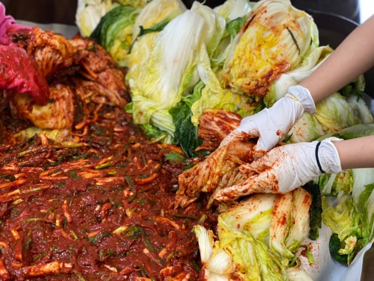 해남 절임배추 나가네해남절임배추 40kg 김장양념  후기