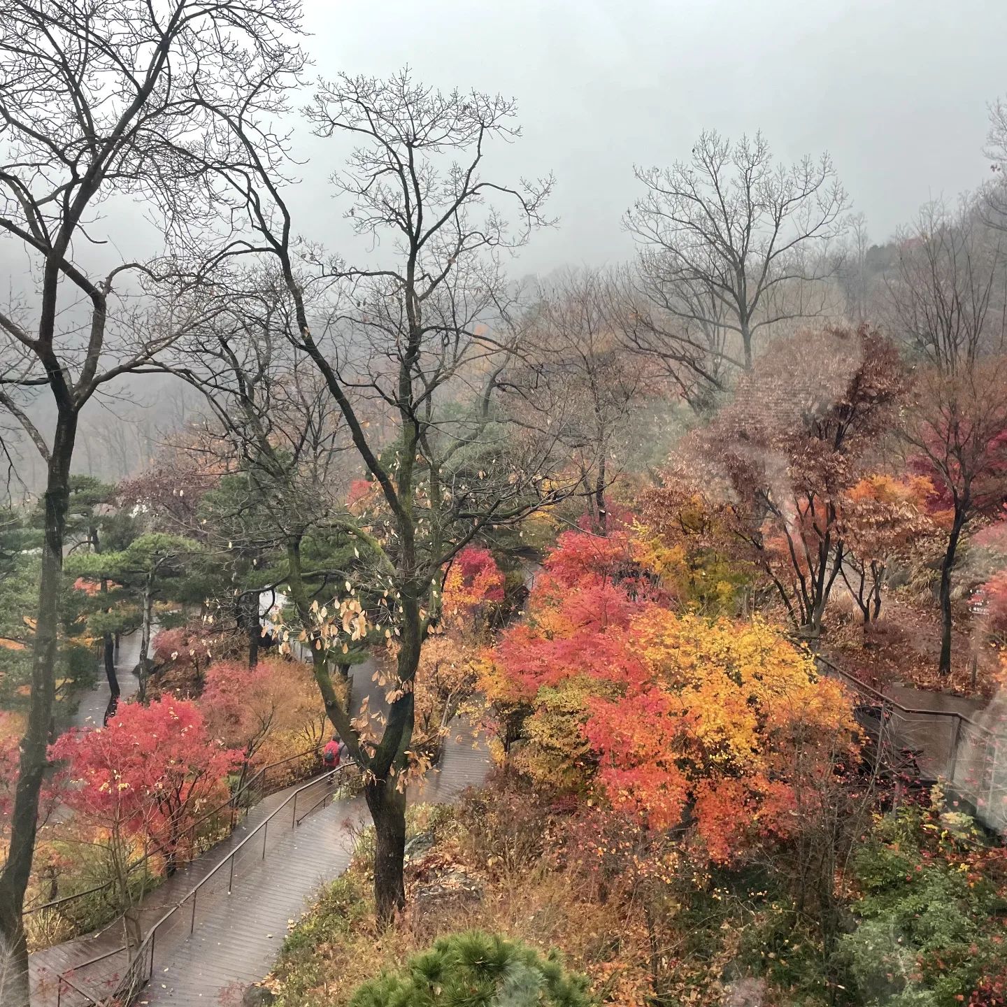 화담숲