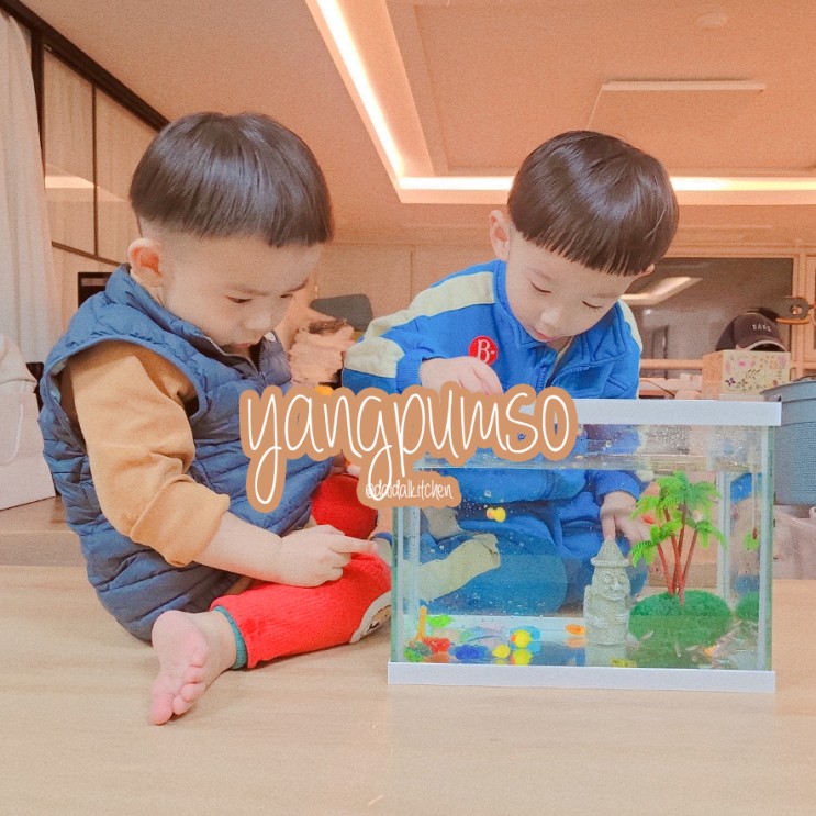 초보자도 키우기 쉬운 구피키우기 양품소 가정용수족관