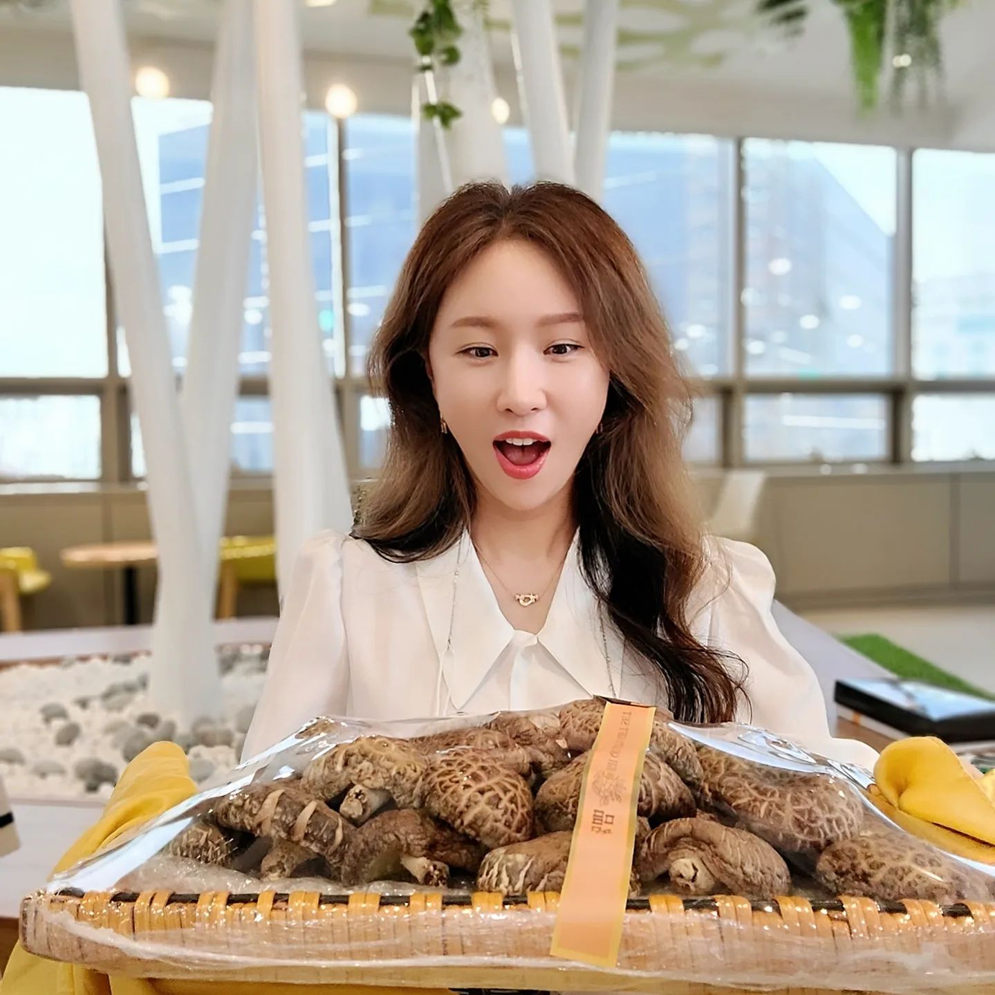 🎁 이거 나 준다고 하는 선물..인거 같은데 
아닌것 같기도 한 느낌은 뭘까요? 
이제 본격적으로 다양한 상품들이 들어오기 
📙 시작해서 저한테도 숙제가 생기는것 같은 느낌도 듭니당~ 
🍄 일단 주신거니 감사하게 받고 
먹어보면서 장단점들 나열해볼께요 
징짜 괜찮은 제품들만 소개할꺼구요 
아무거나 막 다 하는 그런 기업 안되도록 노력할꺼에요 
좋은 제품들만 탄생하길!!! 
일단 보기엔 어마어마하게 귀한 버섯 같긴 해요~ 
🍚 연말 다가오니 다들 바쁘실텐데 오늘 점심도 맛난거 드시고 화이팅!! 월요병 없애기~~ 
ㆍ
#점심메뉴 #버섯된장찌개 #버섯 #선물추천 #농산물
