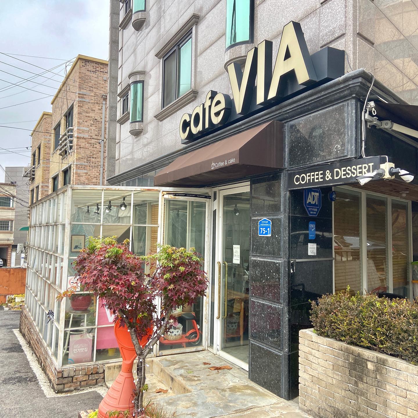 모임하기 좋은 ‘카페비아’를 소개합니다!!
 📍 경기 남양주시 진건읍 진건오남로 75-1 카페비아

안녕하세요:) 오늘은 #모임 #회의 하기 좋은 장소를 추천드려고 합니다. 개인카페가 이렇게 넓고 쾌적하다고?! 싶을정도로 너무 좋은 카페였어요 ( ᵔᵒᵔ )ᵍᵒᵒᵈᵎᵎ

사장님께서 좋은 원두를 사용하여 스타벅스 부럽지 않은 고급스러운 커피향이 나며, 커피를 못드시는 분들을 위해 녹차나 과일청 같은 음료도 베리베리 쏘 딜리셔스՞‪⸝⸝> ̫ <⸝⸝՞

저희집에도 꽤 멀지만,, 우연이 가게 된 카페임에도 불구하고 자주 생각나고 방문한답니다! 요건 맛이 어떤지 말 다한고겠죠?!❤️ 여기 사장님이 진짜 친절함의 끝판왕이세요… 금손이라서 모든 것을 직접 하시는데 꿀맛🥹✨ 

남양주 진건 쪽에서 가장 큰 카페가 아닐까 싶어요! 골목 사이에 위치한 맛집! 좀 더 많은 분들이 아셨으면 좋겠어요😆 진건초등학교 바로 맞은편에 있으니 함 가보세요🙌

필수 업로드는 매주 금요일마다 합니다:) 

#내돈내산 #남양주카페 #남양주맛집 #카페추천 #카페투어 #진건 #진건카페 #진건맛집 #진건맘 #진건맘카페 #진건초 #진건초등학교 #진건모임 #진건회의 #커피맛집 #녹차덕후 #크로플맛집