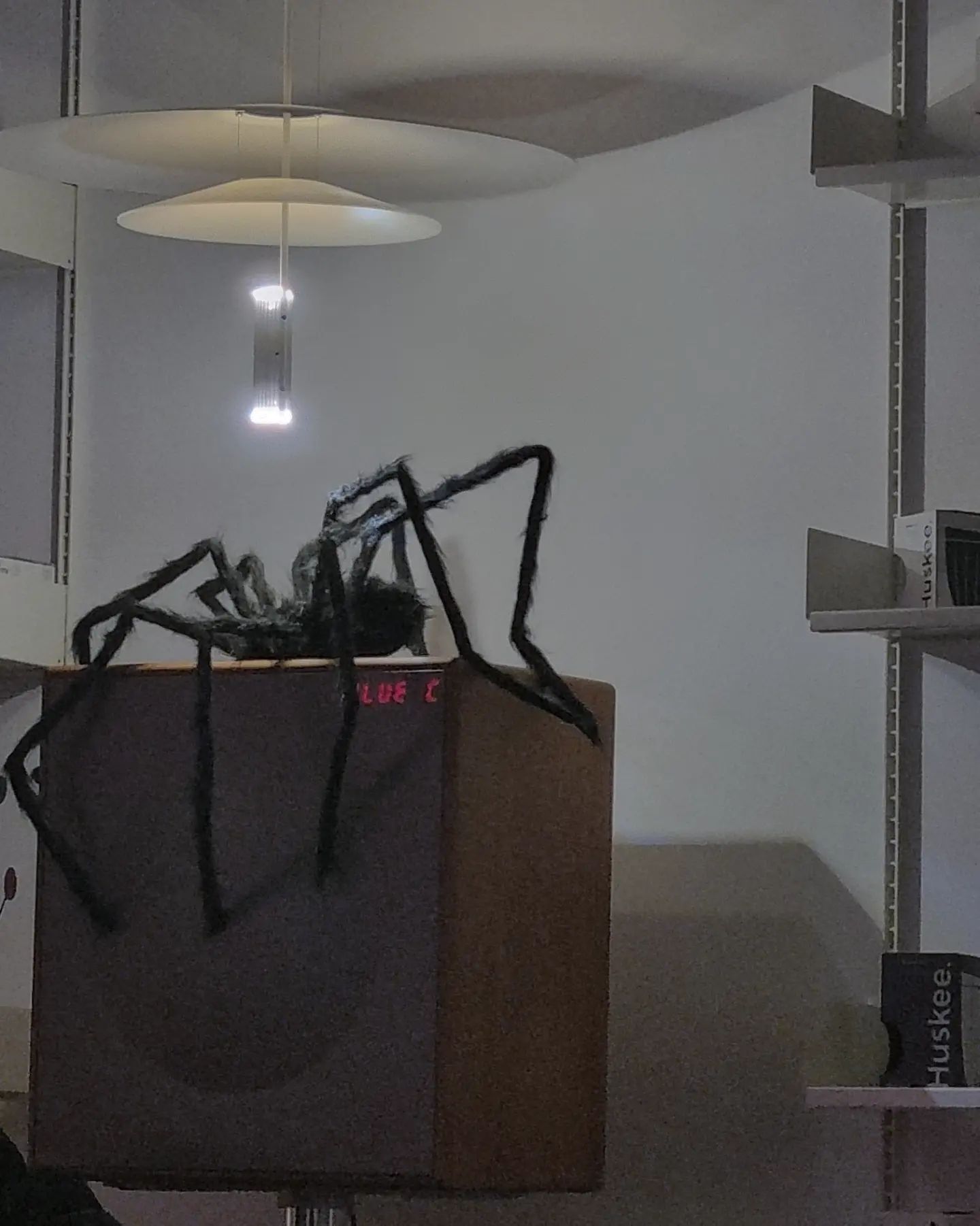 요즘 추워지고 사진 찍을 시간도 없네요🕷