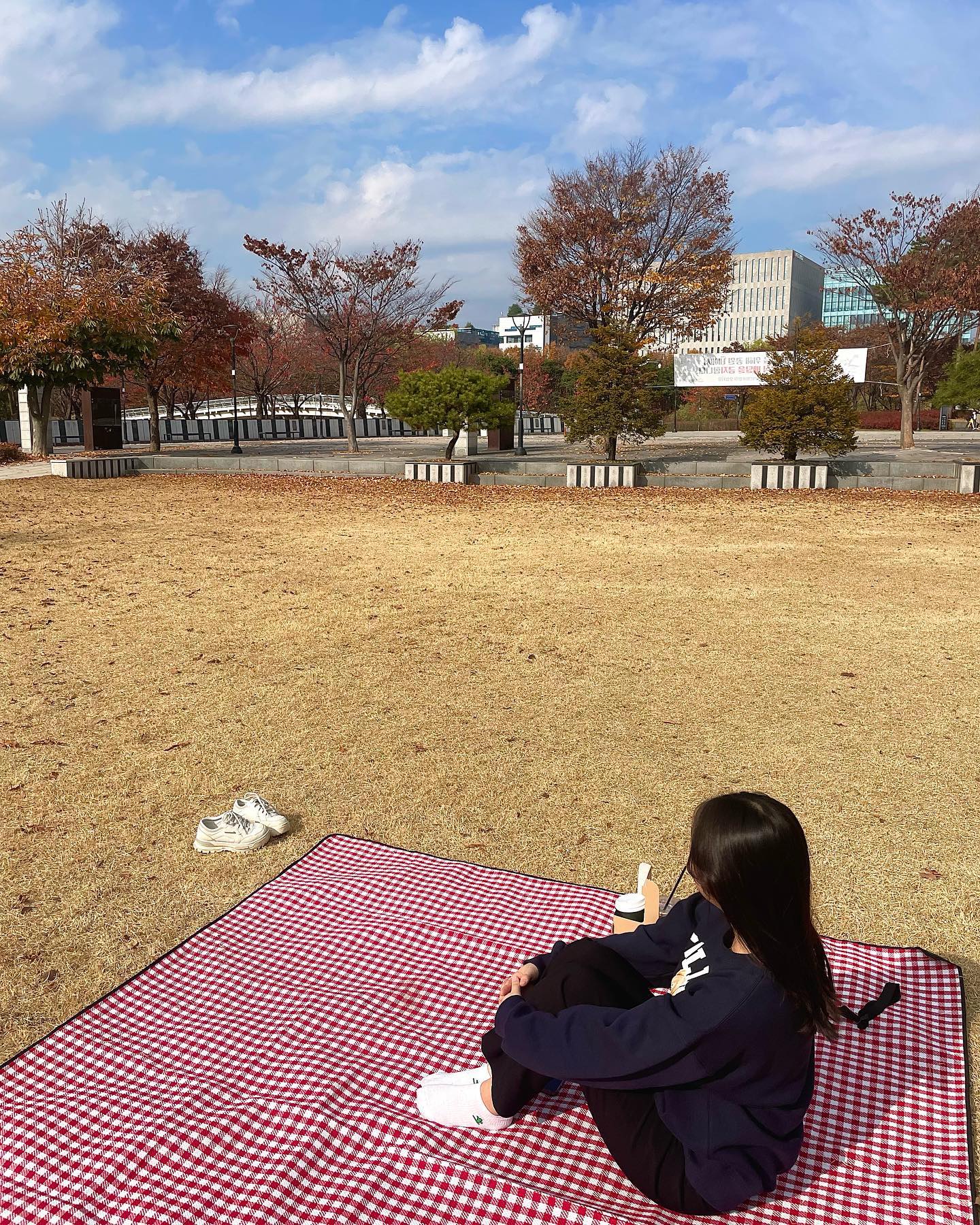 가을 피크닉🧺
요즘 날씨가 너무 좋아서✨

#화랑공원 #피크닉 #가을 #가을하늘 #가을나들이 #일상그램 #일상 #산책