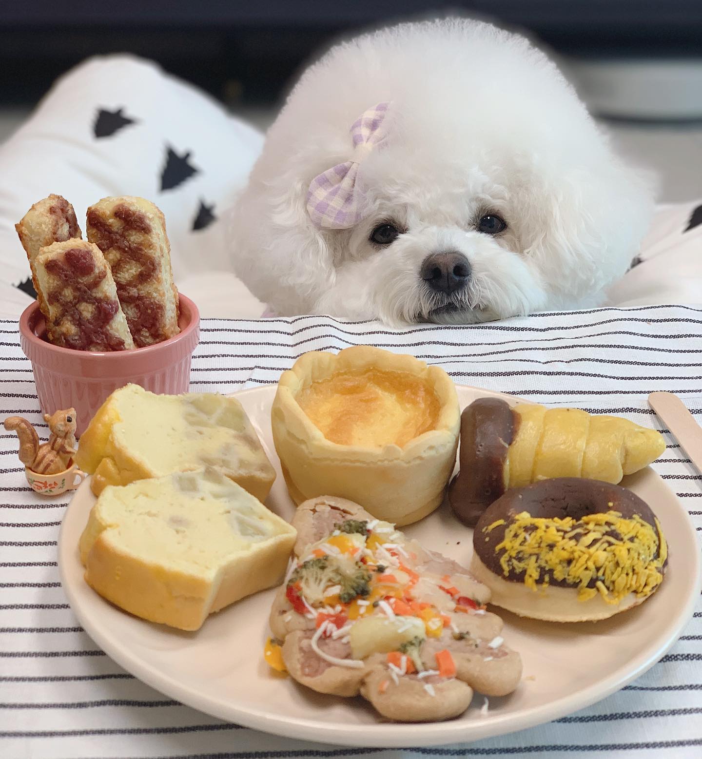 🍩🥐🥯🧁🤎
찌즈랑 뚜레멍쥬르 먹을 찡구들~!

항상 동결건조 간식만 먹던 울찌즈
뚜레멍쥬르 먹고 신세계 경험했지 모야🤣
이렇게 맛있는 간식이 있었다구!!😳

치즈는 찡구들이랑 홈파티할때
같이 먹으니까 더 꿀맛이었오😝
찌즈랑 같이 먹을 찡구들 모여모여~👍🏻

🥐 ma.belle_pet.food 

#강아지수제간식 #부산강아지수제간식 #부산강아지 #대연동수제간식  #강아지간식 #강아지간식추천 #마벨펫푸드 #마벨펫 #부산강아지간식 #강아지케이크 #강아지빵 #강아지베이커리