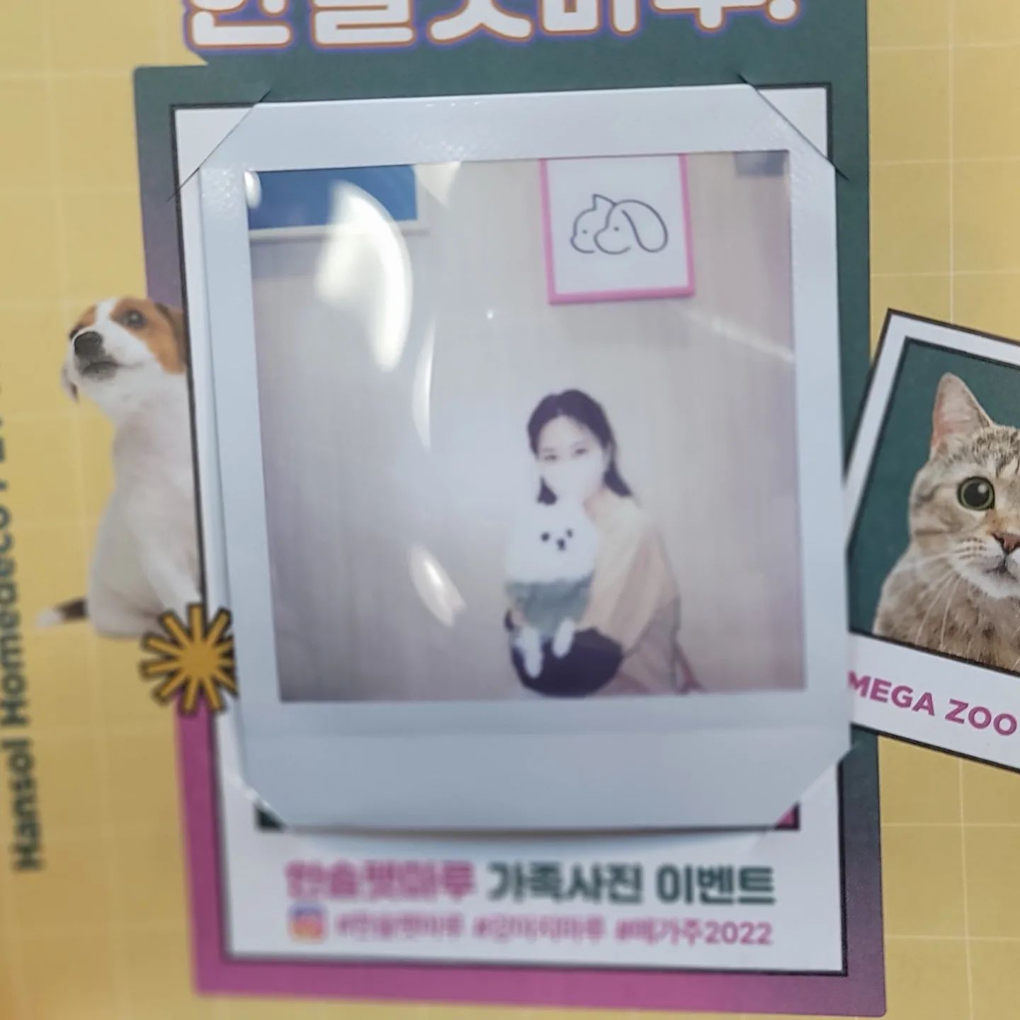 #한솔펫마루 #강아지마루 #메가주2022