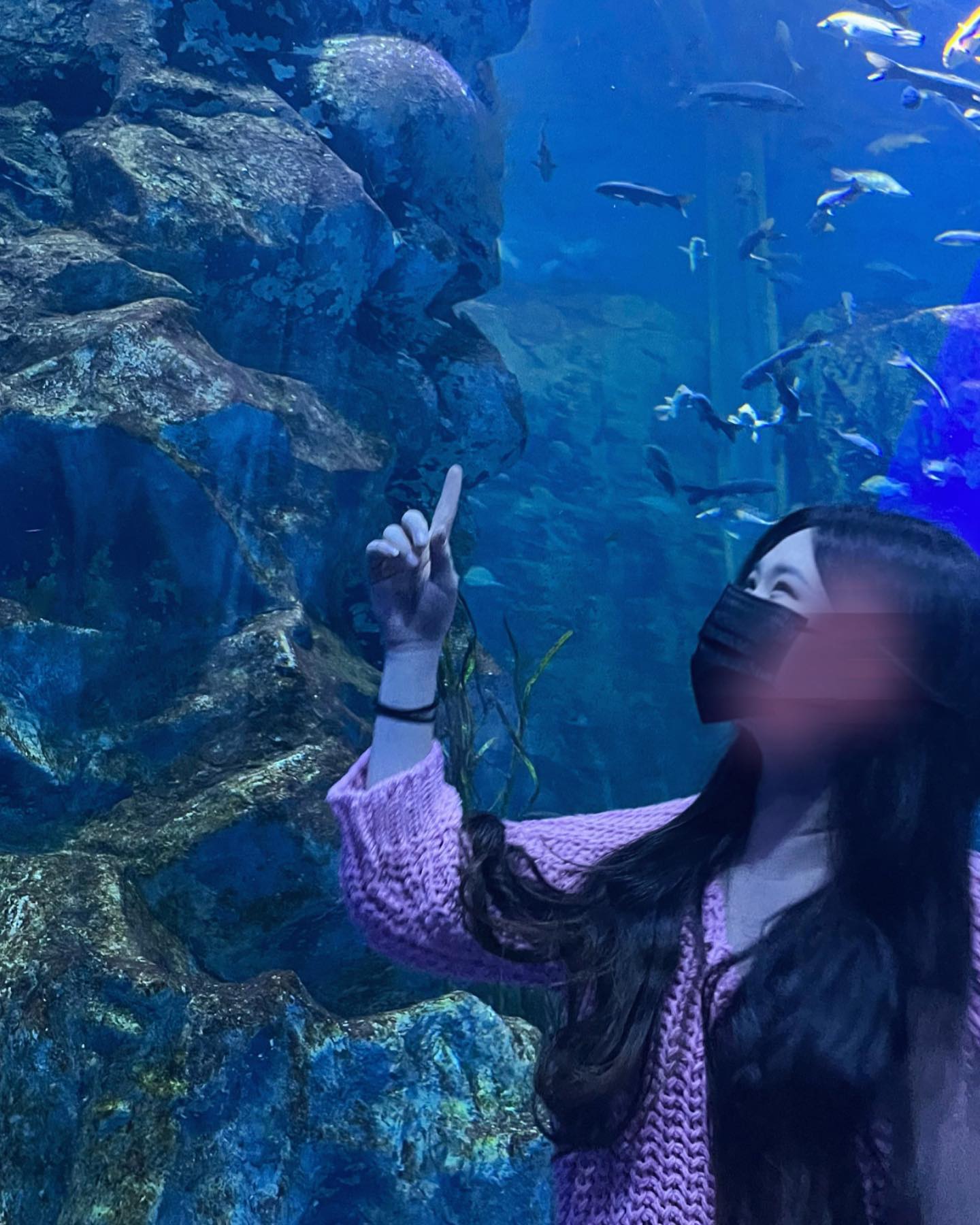 콘텐츠
