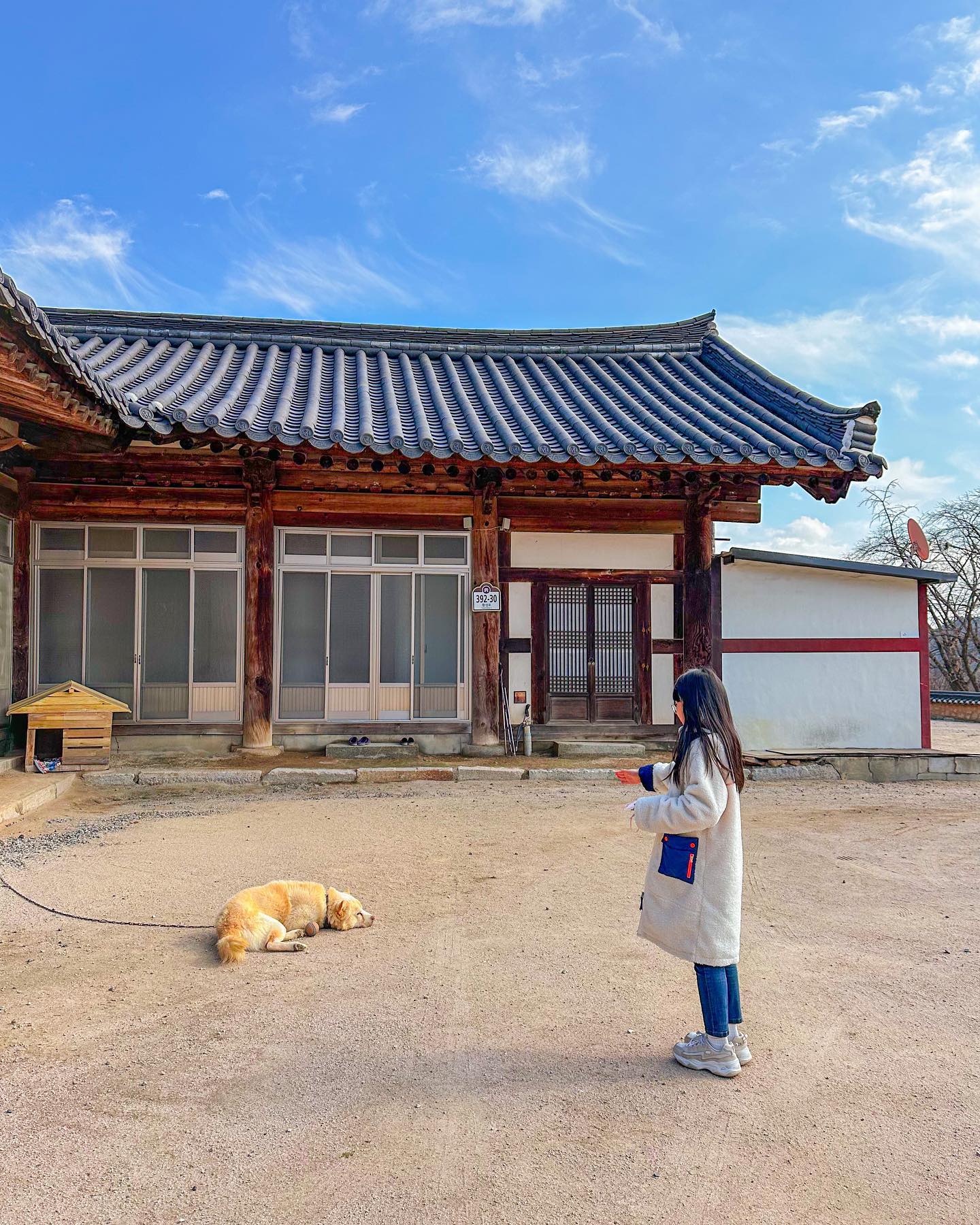 하랑이와 초롬이 예뻐해주셨던 시할머님..
좋은 곳으로 가셔서 편하게 쉬세요 
-
#삼가고인의명복을빕니다