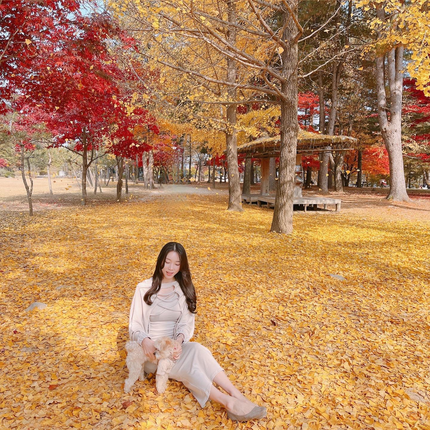 콘텐츠