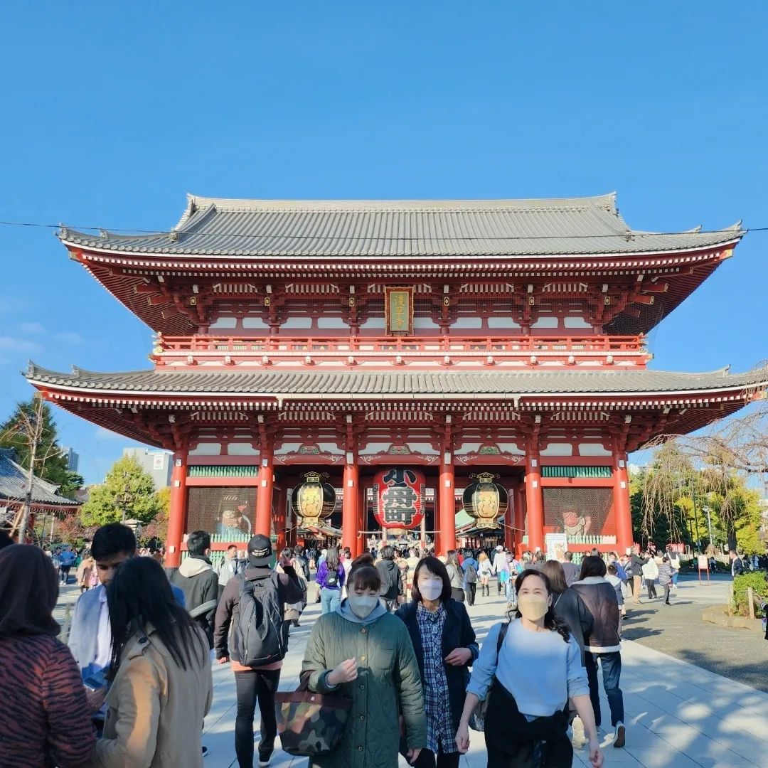 콘텐츠