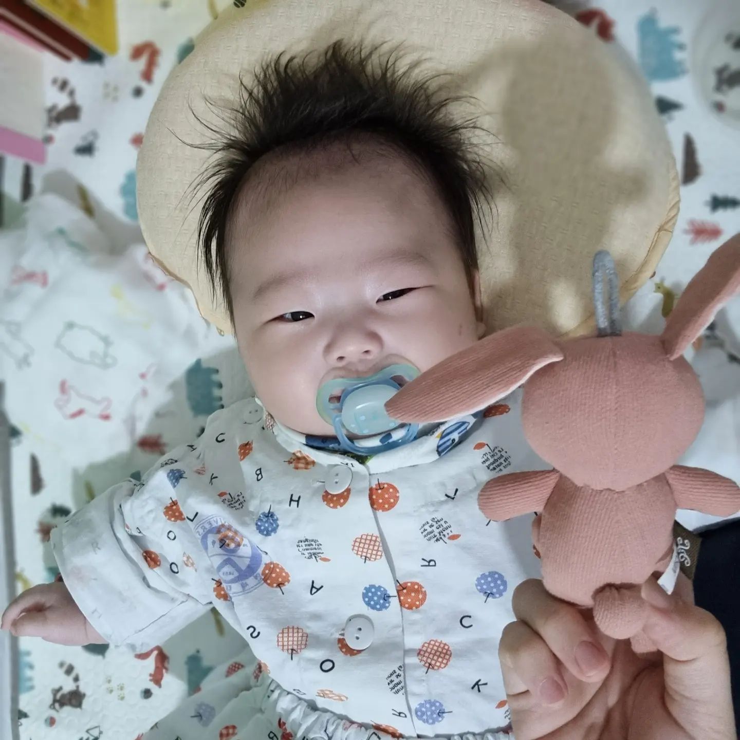+93~94일

단이의 병원 생활
모빌이 없어서 토끼 인형으로 엄마가 수동 모빌 해줌..^^
옆에서 다른 아가들이 울어도 잘만 자고 순둥이 인증
밤 잠 잘 때 좀 애먹이긴 했지만 그래도 아침까지 잘 자구 일어난 우리 아가❤️

수액맞고 팅팅 부은 얼굴로 회진돌면서 청진하는 선생님한테 빵긋빵긋 웃어도 주고 ㅋㅋ

컨디션 많이 좋아져서 퇴원!!

엄마랑 한 침대에서 자느라 힘들었는지 집에와서 저녁 7시쯔음부터 쭈욱 잠들었다ㅋㅋ
고생했어 그동안

2022.11.25.~11.26.